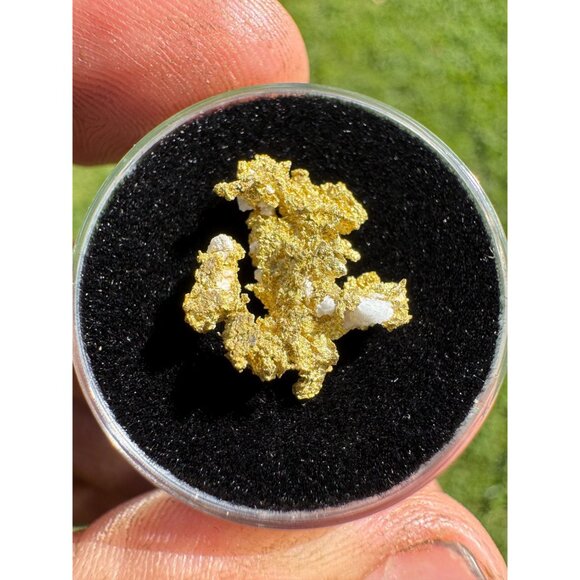 California Native Gold Crystal - 1.57 grams - Picture 4 of 5